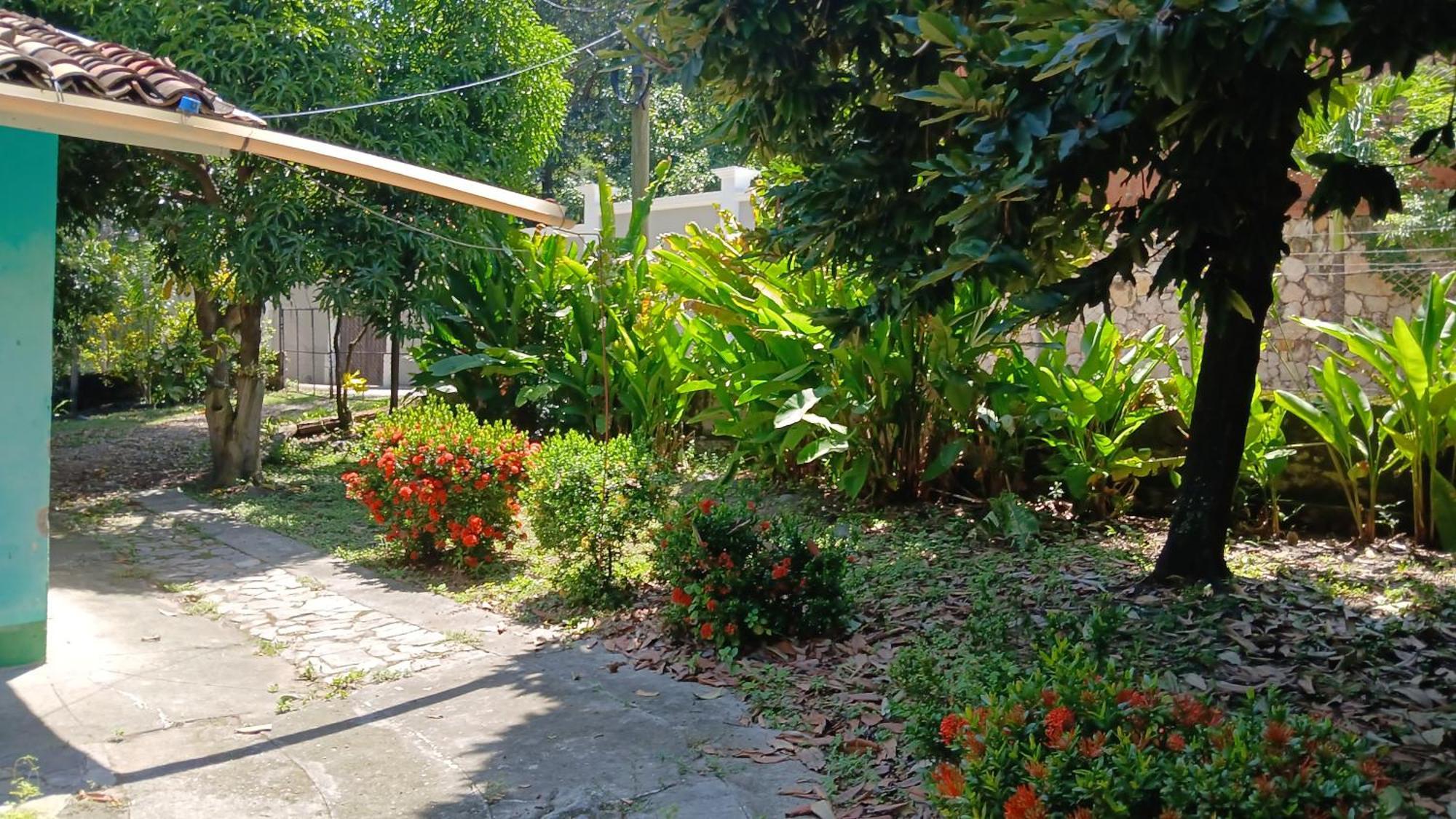 Hostal Juan Lindo San Pedro Sula Ngoại thất bức ảnh